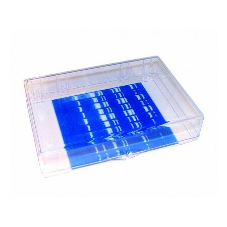 Gary Plastic Mini Blotting Containers, Clear, 15.4x10.4x2.5, 4/PK 248718